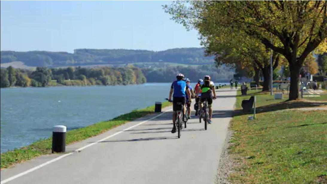 Wohnung an der Donau Krumnussbaum Zimmer foto